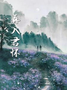 再入我怀中歌曲刘德华